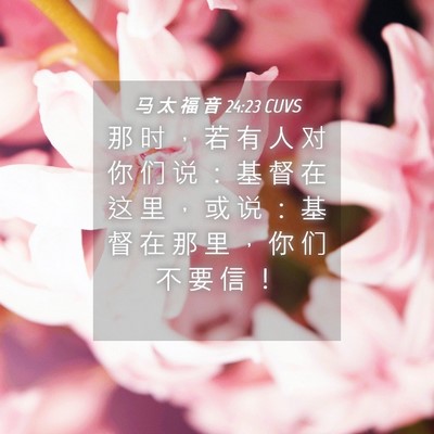 Picture 04 - 马 太 福 音 24:23 CUVS - 那 时 ， 若 有 人 对 你 们 说 ： 基 - Bible Verse Picture