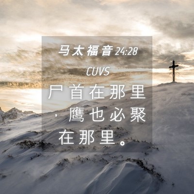 Picture 04 - 马 太 福 音 24:28 CUVS - 尸 首 在 那 里 ， 鹰 也 必 聚 在 那 - Bible Verse Picture