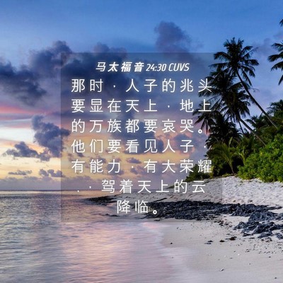 Picture 04 - 马 太 福 音 24:30 CUVS - 那 时 ， 人 子 的 兆 头 要 显 在 天 - Bible Verse Picture