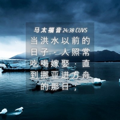 Picture 04 - 马 太 福 音 24:38 CUVS - 当 洪 水 以 前 的 日 子 ， 人 照 常 - Bible Verse Picture