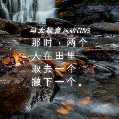 Picture 04 - 马 太 福 音 24:40 CUVS - 那 时 ， 两 个 人 在 田 里 ， 取 去 - Bible Verse Picture