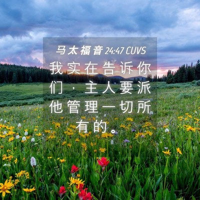 Picture 04 - 马 太 福 音 24:47 CUVS - 我 实 在 告 诉 你 们 ， 主 人 要 派 - Bible Verse Picture