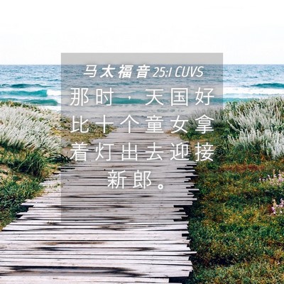 Picture 04 - 马 太 福 音 25:1 CUVS - 那 时 ， 天 国 好 比 十 个 童 女 拿 - Bible Verse Picture