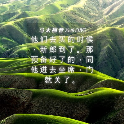 Picture 04 - 马 太 福 音 25:10 CUVS - 他 们 去 买 的 时 候 ， 新 郎 到 了 - Bible Verse Picture