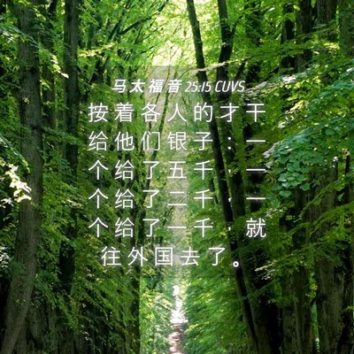 Picture 04 - 马 太 福 音 25:15 CUVS - 按 着 各 人 的 才 干 给 他 们 银 子 - Bible Verse Picture