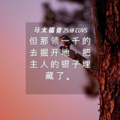 Picture 04 - 马 太 福 音 25:18 CUVS - 但 那 领 一 千 的 去 掘 开 地 ， 把 - Bible Verse Picture