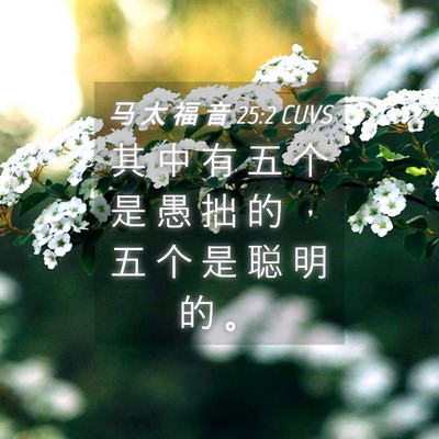 Picture 04 - 马 太 福 音 25:2 CUVS - 其 中 有 五 个 是 愚 拙 的 ， 五 个 - Bible Verse Picture