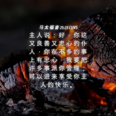 Picture 04 - 马 太 福 音 25:23 CUVS - 主 人 说 ： 好 ， 你 这 又 良 善 又 - Bible Verse Picture