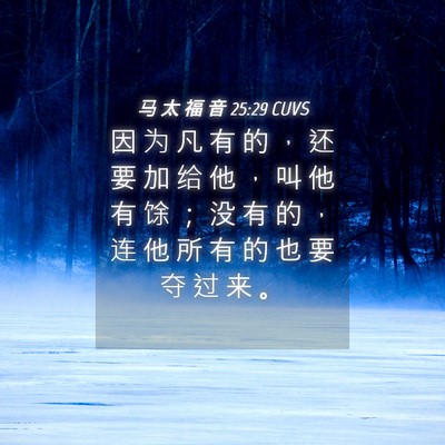 Picture 04 - 马 太 福 音 25:29 CUVS - 因 为 凡 有 的 ， 还 要 加 给 他 ， - Bible Verse Picture