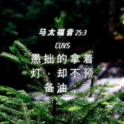 Picture 04 - 马 太 福 音 25:3 CUVS - 愚 拙 的 拿 着 灯 ， 却 不 预 备 油 - Bible Verse Picture