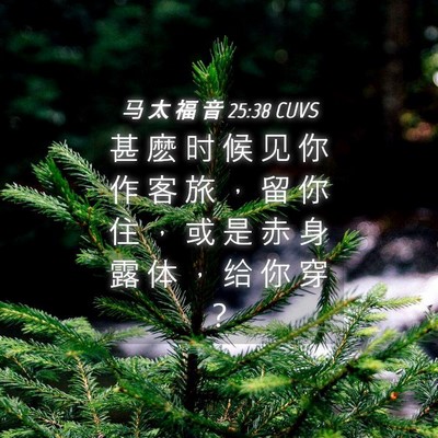 Picture 04 - 马 太 福 音 25:38 CUVS - 甚 麽 时 候 见 你 作 客 旅 ， 留 你 - Bible Verse Picture