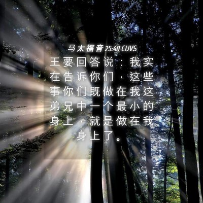 Picture 04 - 马 太 福 音 25:40 CUVS - 王 要 回 答 说 ： 我 实 在 告 诉 你 - Bible Verse Picture