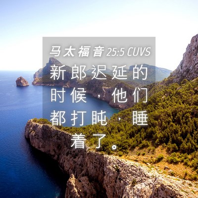 Picture 04 - 马 太 福 音 25:5 CUVS - 新 郎 迟 延 的 时 候 ， 他 们 都 打 - Bible Verse Picture