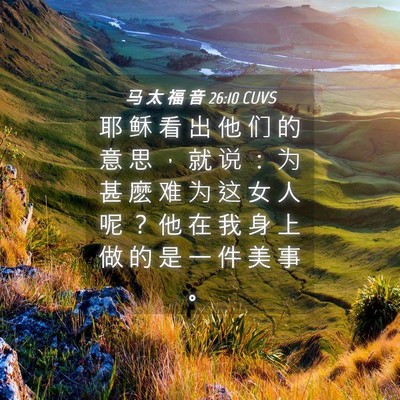 Picture 04 - 马 太 福 音 26:10 CUVS - 耶 稣 看 出 他 们 的 意 思 ， 就 说 - Bible Verse Picture