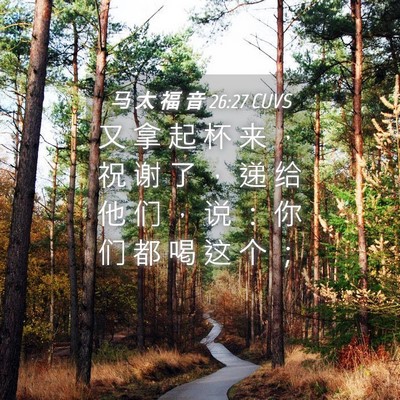 Picture 04 - 马 太 福 音 26:27 CUVS - 又 拿 起 杯 来 ， 祝 谢 了 ， 递 给 - Bible Verse Picture
