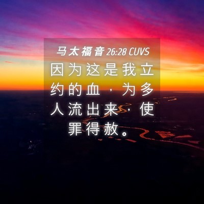 Picture 04 - 马 太 福 音 26:28 CUVS - 因 为 这 是 我 立 约 的 血 ， 为 多 - Bible Verse Picture