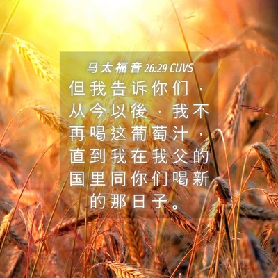 Picture 04 - 马 太 福 音 26:29 CUVS - 但 我 告 诉 你 们 ， 从 今 以 後 ， - Bible Verse Picture