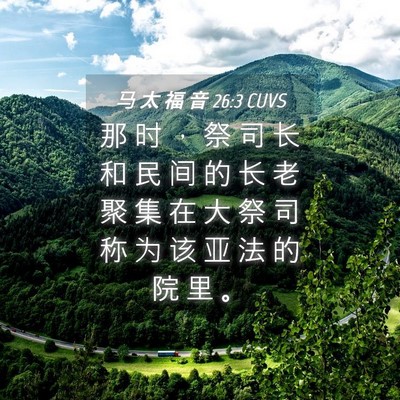 Picture 04 - 马 太 福 音 26:3 CUVS - 那 时 ， 祭 司 长 和 民 间 的 长 老 - Bible Verse Picture