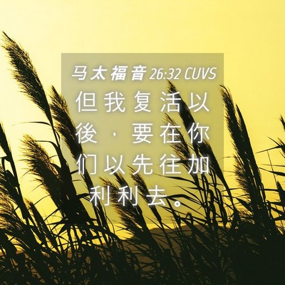 Picture 04 - 马 太 福 音 26:32 CUVS - 但 我 复 活 以 後 ， 要 在 你 们 以 - Bible Verse Picture