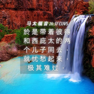 Picture 04 - 马 太 福 音 26:37 CUVS - 於 是 带 着 彼 得 和 西 庇 太 的 两 - Bible Verse Picture