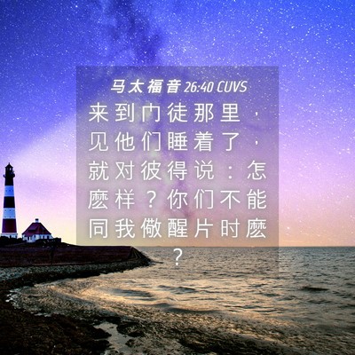 Picture 04 - 马 太 福 音 26:40 CUVS - 来 到 门 徒 那 里 ， 见 他 们 睡 着 - Bible Verse Picture