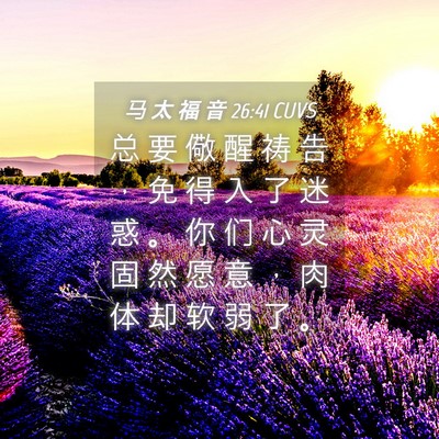 Picture 04 - 马 太 福 音 26:41 CUVS - 总 要 儆 醒 祷 告 ， 免 得 入 了 迷 - Bible Verse Picture