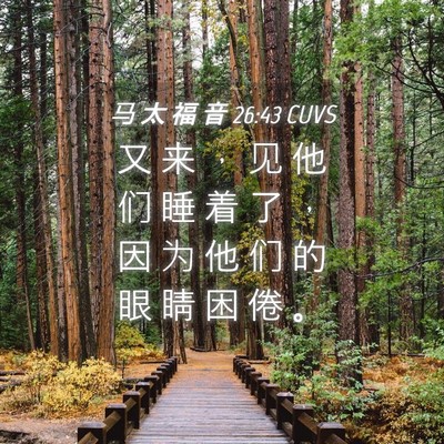 Picture 04 - 马 太 福 音 26:43 CUVS - 又 来 ， 见 他 们 睡 着 了 ， 因 为 - Bible Verse Picture