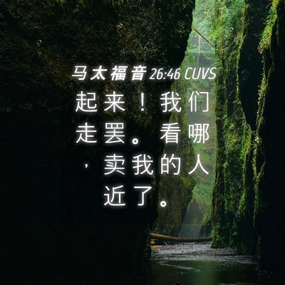 Picture 04 - 马 太 福 音 26:46 CUVS - 起 来 ！ 我 们 走 罢 。 看 哪 ， 卖 - Bible Verse Picture