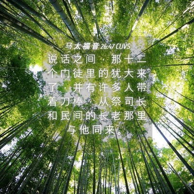 Picture 04 - 马 太 福 音 26:47 CUVS - 说 话 之 间 ， 那 十 二 个 门 徒 里 - Bible Verse Picture