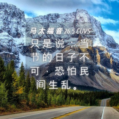 Picture 04 - 马 太 福 音 26:5 CUVS - 只 是 说 ： 当 节 的 日 子 不 可 ， - Bible Verse Picture