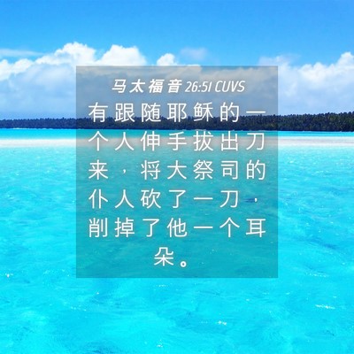 Picture 04 - 马 太 福 音 26:51 CUVS - 有 跟 随 耶 稣 的 一 个 人 伸 手 拔 - Bible Verse Picture