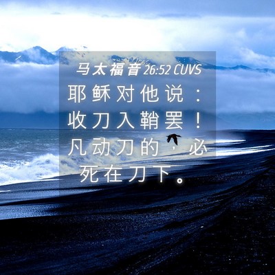 Picture 04 - 马 太 福 音 26:52 CUVS - 耶 稣 对 他 说 ： 收 刀 入 鞘 罢 ！ - Bible Verse Picture