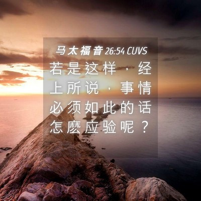 Picture 04 - 马 太 福 音 26:54 CUVS - 若 是 这 样 ， 经 上 所 说 ， 事 情 - Bible Verse Picture