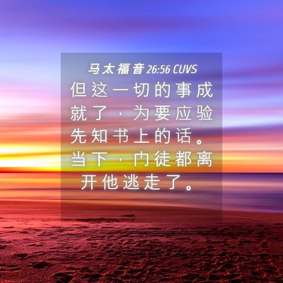 Picture 04 - 马 太 福 音 26:56 CUVS - 但 这 一 切 的 事 成 就 了 ， 为 要 - Bible Verse Picture