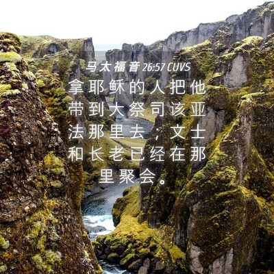 Picture 04 - 马 太 福 音 26:57 CUVS - 拿 耶 稣 的 人 把 他 带 到 大 祭 司 - Bible Verse Picture
