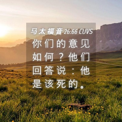 Picture 04 - 马 太 福 音 26:66 CUVS - 你 们 的 意 见 如 何 ？ 他 们 回 答 - Bible Verse Picture