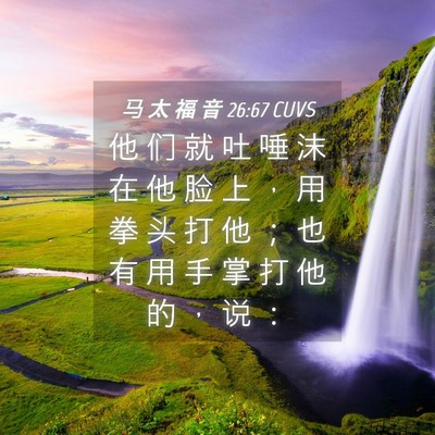 Picture 04 - 马 太 福 音 26:67 CUVS - 他 们 就 吐 唾 沫 在 他 脸 上 ， 用 - Bible Verse Picture