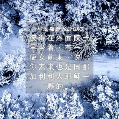 Picture 04 - 马 太 福 音 26:69 CUVS - 彼 得 在 外 面 院 子 里 坐 着 ， 有 - Bible Verse Picture