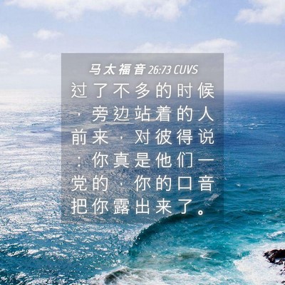 Picture 04 - 马 太 福 音 26:73 CUVS - 过 了 不 多 的 时 候 ， 旁 边 站 着 - Bible Verse Picture