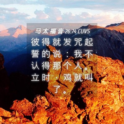 Picture 04 - 马 太 福 音 26:74 CUVS - 彼 得 就 发 咒 起 誓 的 说 ： 我 不 - Bible Verse Picture