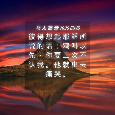 Picture 04 - 马 太 福 音 26:75 CUVS - 彼 得 想 起 耶 稣 所 说 的 话 ： 鸡 - Bible Verse Picture