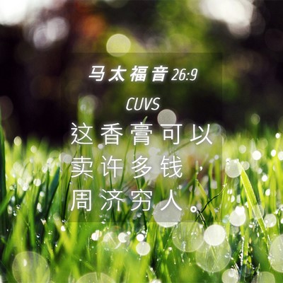 Picture 04 - 马 太 福 音 26:9 CUVS - 这 香 膏 可 以 卖 许 多 钱 ， 周 济 - Bible Verse Picture