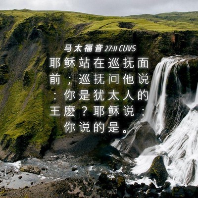 Picture 04 - 马 太 福 音 27:11 CUVS - 耶 稣 站 在 巡 抚 面 前 ； 巡 抚 问 - Bible Verse Picture
