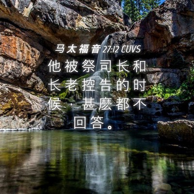 Picture 04 - 马 太 福 音 27:12 CUVS - 他 被 祭 司 长 和 长 老 控 告 的 时 - Bible Verse Picture
