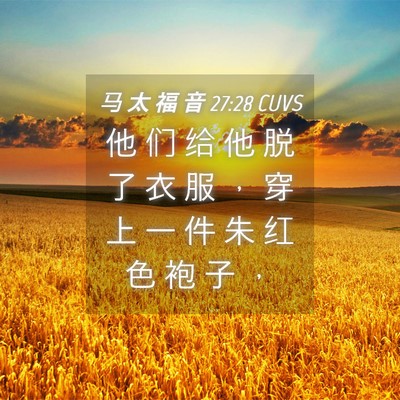 Picture 04 - 马 太 福 音 27:28 CUVS - 他 们 给 他 脱 了 衣 服 ， 穿 上 一 - Bible Verse Picture