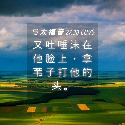 Picture 04 - 马 太 福 音 27:30 CUVS - 又 吐 唾 沫 在 他 脸 上 ， 拿 苇 子 - Bible Verse Picture