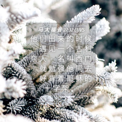 Picture 04 - 马 太 福 音 27:32 CUVS - 他 们 出 来 的 时 候 ， 遇 见 一 个 - Bible Verse Picture