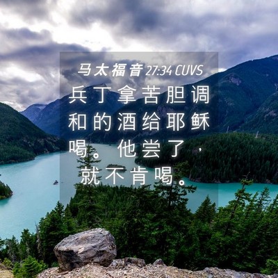 Picture 04 - 马 太 福 音 27:34 CUVS - 兵 丁 拿 苦 胆 调 和 的 酒 给 耶 稣 - Bible Verse Picture