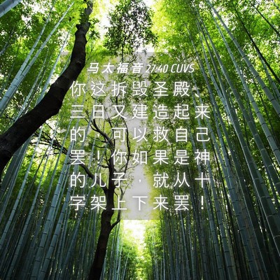 Picture 04 - 马 太 福 音 27:40 CUVS - 你 这 拆 毁 圣 殿 、 三 日 又 建 造 - Bible Verse Picture