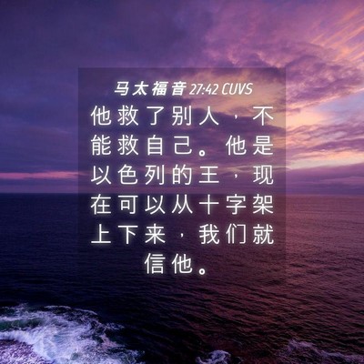 Picture 04 - 马 太 福 音 27:42 CUVS - 他 救 了 别 人 ， 不 能 救 自 己 。 - Bible Verse Picture